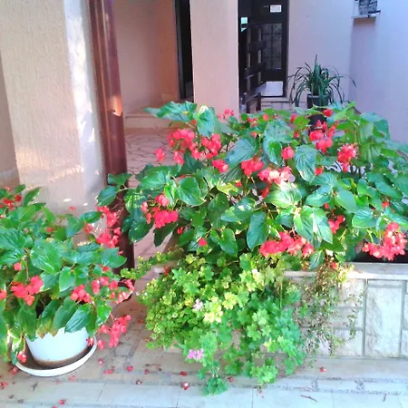 Miljenko Apartment *